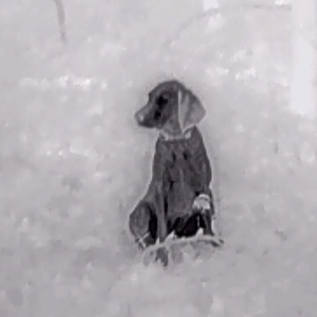 HIKMICRO EXPLORER E20 Smartphone Clip-In Thermal Imager for Android